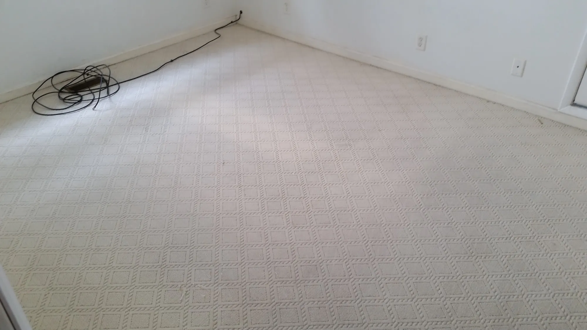 After picture of a now very clean carpet