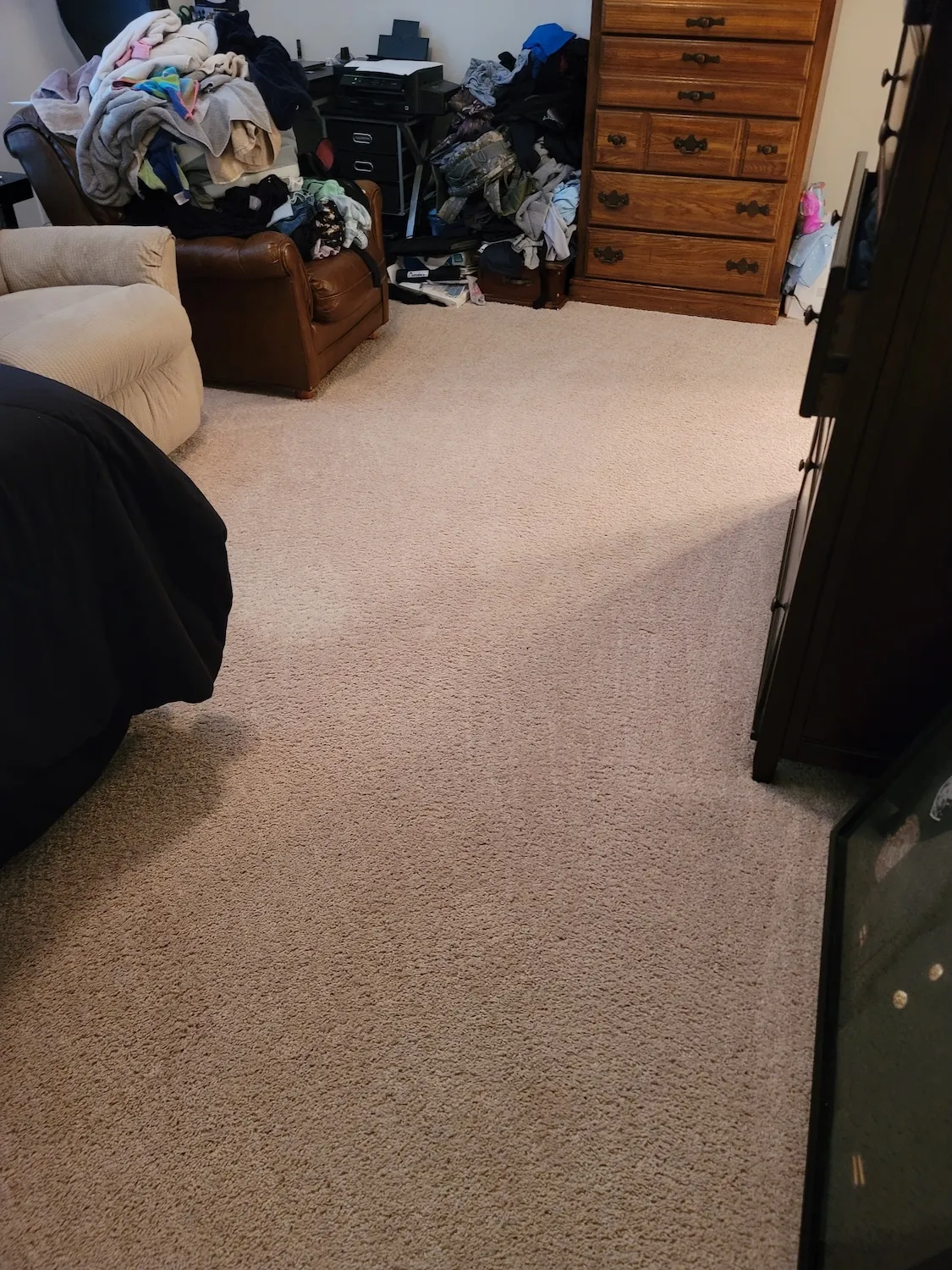 After picture of another dirty carpet