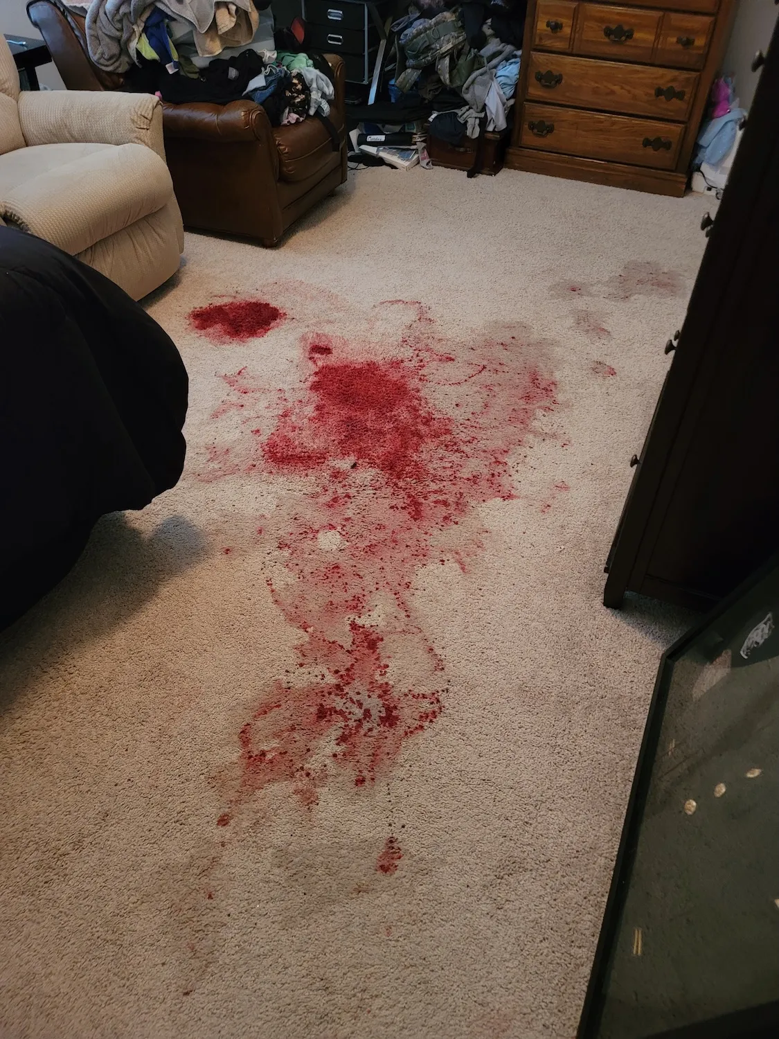 Before picture of a now very clean carpet