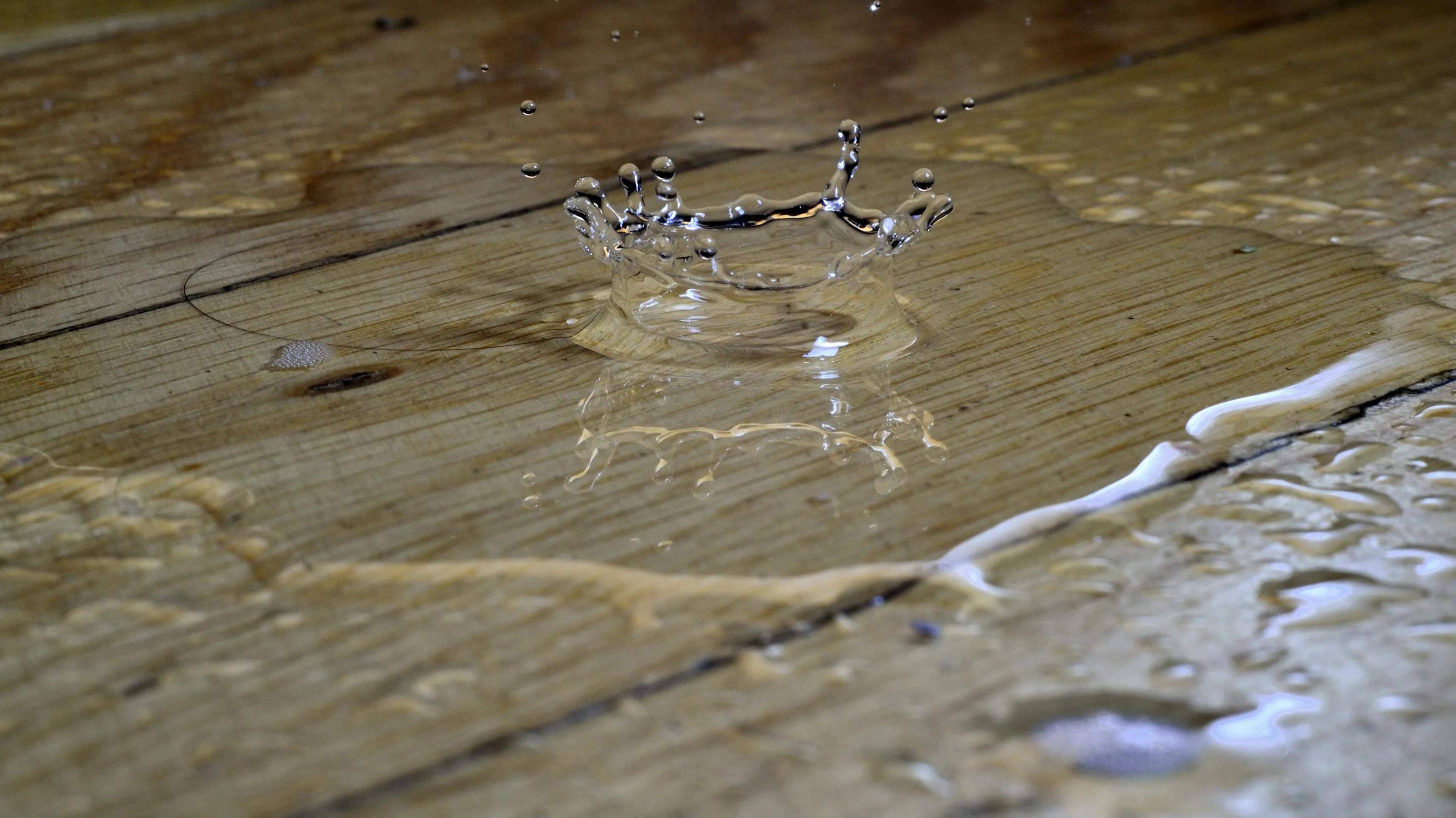 Why You Should Hire a Professional for Water Damage Restoration in Savannah, GA